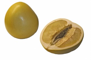 Pomello